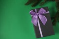 New year`s Christmas background a branch of spruce pine trees on a green background and a gift box black gift box with lilac purpl Royalty Free Stock Photo