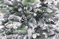 New Year`s and Christmas decor. Festive background with decorative artificial texture of different shining snow-covered branches Royalty Free Stock Photo