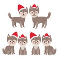 New Year's and Christmas funny brown husky dog Royalty Free Stock Photo