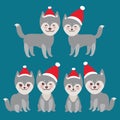 New Year's and Christmas funny gray husky dog in Royalty Free Stock Photo