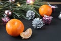 New Year`s Christmas still life branch of pine tree next to the tangerine cones silver burns garland on a black background with a Royalty Free Stock Photo