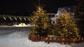 New Year`s and Christmas trees decorated with garlands and balloons on the street in a snowfall