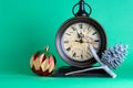 New Year`s clock midnight, bauble and cone on pine fir tree bran