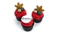 New year`s cupcake with red buttercream, decorated with blueberries, gingerbread snowflake and a sprig of firtree.