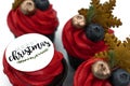 New year`s cupcake with red buttercream, decorated with blueberries, gingerbread snowflake and a sprig of firtree.