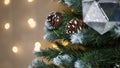 New Year`s decor in the room with a Christmas tree, a fireplace and gifts