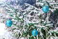 New Year`s decoration balls on a snowy branch. Christmas tree toy on the branches of spruce covered with snow. Blue shiny balloon Royalty Free Stock Photo