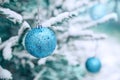 New Year`s decoration balls on a snowy branch. Christmas tree toy on the branches of spruce covered with snow. Blue Royalty Free Stock Photo