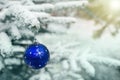 New Year`s decoration balls on a snowy branch. Christmas tree toy on the branches of spruce covered with snow. Blue Royalty Free Stock Photo