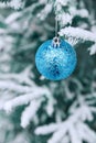 New Year`s decoration balls on a snowy branch. Christmas tree toy on the branches of spruce covered with snow. Blue Royalty Free Stock Photo