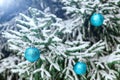 New Year`s decoration balls on a snowy branch. Christmas tree toy on the branches of spruce covered with snow. Blue shiny balloon Royalty Free Stock Photo