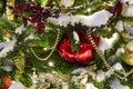 New Year\'s decoration balls on a snowy branch. Christmas tree toy on the branches of spruce covered with snow. Blue shiny balloon