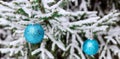 New Year`s decoration balls on a snowy branch. Christmas tree toy on the branches of spruce covered with snow. Blue shiny balloon Royalty Free Stock Photo