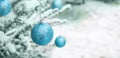 New Year`s decoration balls on a snowy branch. Christmas tree toys on the branches of spruce covered with snow. Blue shiny Royalty Free Stock Photo