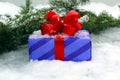 New Year`s gift with a red bow on the background of the Christmas tree and snow Royalty Free Stock Photo