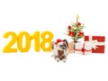 New Year`s picture, a small dog, a Christmas tree and gifts on a background of inscription 2018. Isolatio. Indoors. Royalty Free Stock Photo
