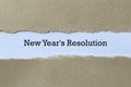 New year`s resolution on paper