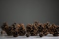 New Year's still life forest of pine cones on a white-gray background