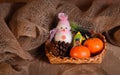 New Year`s still-life with tangerines, chocolate and a fur-tree branch. Royalty Free Stock Photo