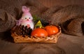 New Year`s still-life with tangerines, chocolate and a fur-tree branch Royalty Free Stock Photo