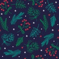 New Year\'s symbols - branches of a Christmas tree, pine, fir, wild rose. Hand drawn vector seamless pattern. Royalty Free Stock Photo