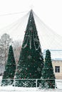 New Year`s trees, beautifully decorated with balls and lights, stand in the city center during the day in snowy weather, creating