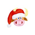 New Year`s watercolor bull in 2021 in a hat of Santa Claus. Cartoon cheerful bull with horns isolated on a white background. Ox o