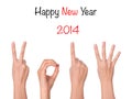 2013 new year showing hand Royalty Free Stock Photo