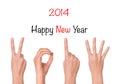 2013 new year showing Royalty Free Stock Photo