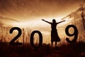 2019 New Year silhouette of a girl with hands raised during gold Royalty Free Stock Photo