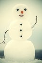 New year snowman from white snow outdoor. Royalty Free Stock Photo