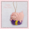 New year. Soft toy made of felt. The cute pig. Piggy`s holding a present. Christmas tree decoration. Symbol of year. 2019.