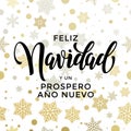 New Year in spanish golden text Prospero Ano Nuevo