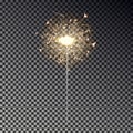 New year sparkler isolated on transparent background. Realistic transparent light effect. Festive s