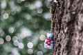 New Year toy-rat, hanging on a tree trunk on the background of bokeh Christmas lights Royalty Free Stock Photo