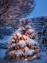 New Year tree covered with snow and decorated with Christmas lights Royalty Free Stock Photo