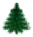 New Year tree with fluffy green branches Royalty Free Stock Photo