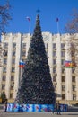 New Year tree in Krasnodar