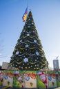 New Year tree on sunny day