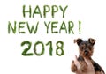 2018 New Year. Two thousand eighteen. Happy New Year greetings. Cute little puppy in female hands. Words are made of a pine tree Royalty Free Stock Photo