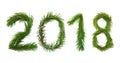 2018 New Year. Two thousand eighteen New Year. Numbers are made of a pine tree branches.