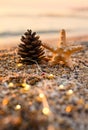 New Year vertical card. A pine cone and a starfish stand on the seashore at sunset with lights from a garland. Royalty Free Stock Photo