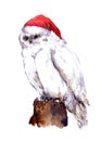 New year white owl bird in red santa's hat. Watercolour