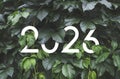 2026 New year white text hidden in natural green leaves wall Royalty Free Stock Photo