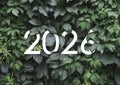 2026 New year white text hidden in natural green leaves wall Royalty Free Stock Photo