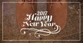 2017 new year wishes against chukka brown boots