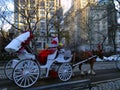 New Year in New York. Santa Claus on horse-drawn carriage near Central Park. Royalty Free Stock Photo