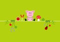 New Years Eve Sitting Pig And Symbols Green Royalty Free Stock Photo