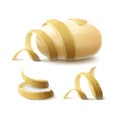 New Yellow Raw Whole Peeled Potato with twisted peel Isolated