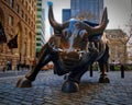 NEW YORK, APR 24, 2015: Wall street bull on Broadway street. Close up view of aggressive bull with nose steam smoke. NYC New York Royalty Free Stock Photo